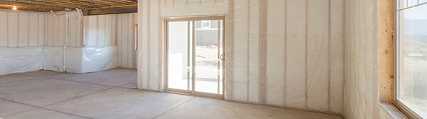 Unfinished walkout basement before development